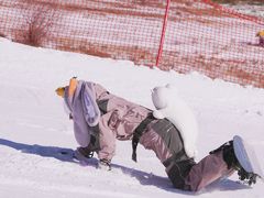 -密苑云顶乐园