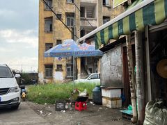 -珍记海鲜粥·海鲜粉