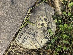 -白鹭湾湿地公园