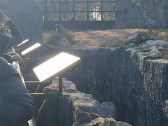-武汉动物园