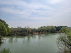 -苏州太湖国家湿地公园