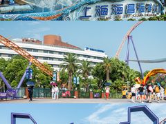 -上海海昌海洋公园