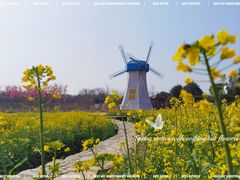 -武汉紫薇都市田园