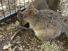 -费瑟代尔野生动物园