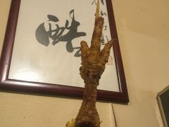 -西单翅酷(西单店)