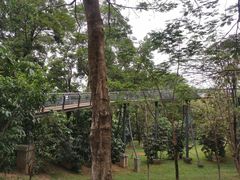 -玉树公园