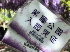 -嘉定紫藤园