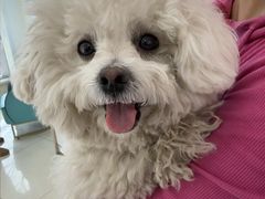 -北京观赏动物医院·24小时大型综合·猫专科·异宠专科