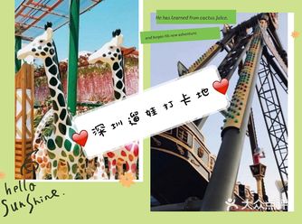 最近我可是去了一家特别好玩的游乐园，宝宝去了之后也是