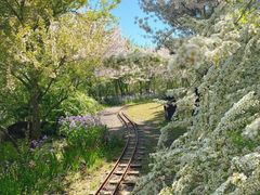 -南京市无想山景区