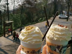 -茶颜悦色(岳麓山顶店)