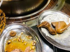 -南海鸽天下(肇庆店)
