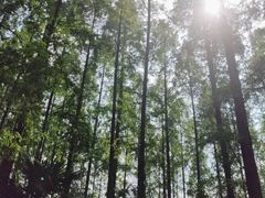-上海怡沁园度假酒店