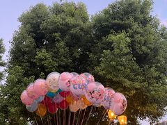 -迪士尼小镇