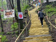 -帽儿山风景区