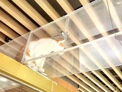 -上海K11购物艺术中心