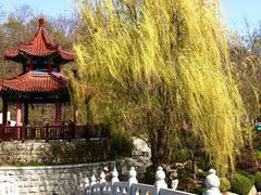 -大连植物园