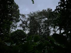 -夜间野生动物园