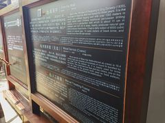 -燊海井