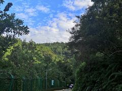 -梧桐山风景名胜区