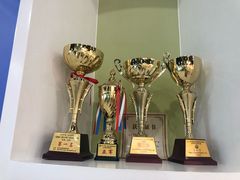 -常青藤国际象棋(新奥店)