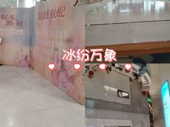 -冰纷万象滑冰场(沈阳万象城店)