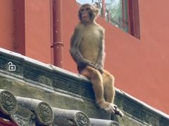 -黔灵山公园-南门售票处