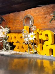 -Zoolung Zoolung动物主题公园(海信广场店)