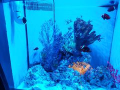 -多彩贵州城极地海洋世界