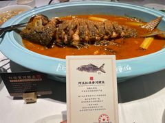 -阿五黄河大鲤鱼(英协路店)