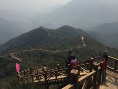 -大岭沟猕猴桃谷风景区