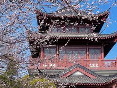 -堤角公园