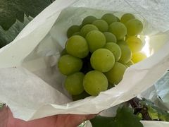 -美家乐农庄·露营·团建(大治路店)