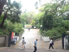 -九龙公园