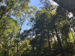 -龙岩森林水乡景区