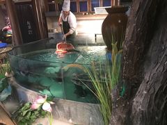 -坛宗剁椒鱼头(河西王府井店)