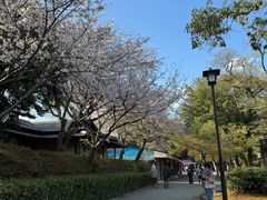-水前寺成趣园
