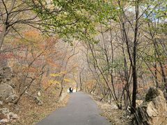 -大连天门山国家森林公园