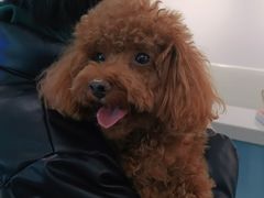 -北京观赏动物医院·24小时大型综合·猫专科·异宠专科