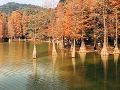-广州市白云山风景名胜区