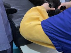 -伟伟宠物医院·CT影像中心·瑞派犬猫综合性门诊(汉口总院)