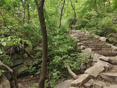 -大岭沟猕猴桃谷风景区
