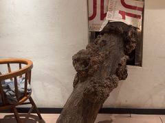 -树厨贵州菜(大十字店)