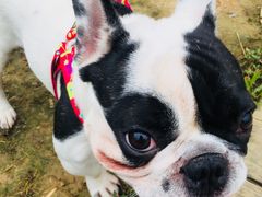 -白鹭湾湿地公园