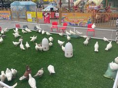 -百佳华佳漾里(坂田店)