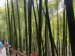 -藏龙百瀑风景区