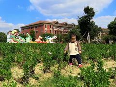 -歌斐颂巧克力小镇