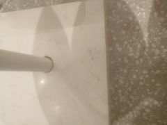 餐具摆设-奈雪的茶(漫广场店)
