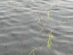 -星海水上乐园(星海广场圣亚店)