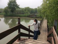 -长兴太湖图影湿地文化园